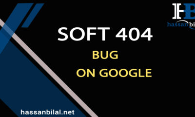 soft 404 bug