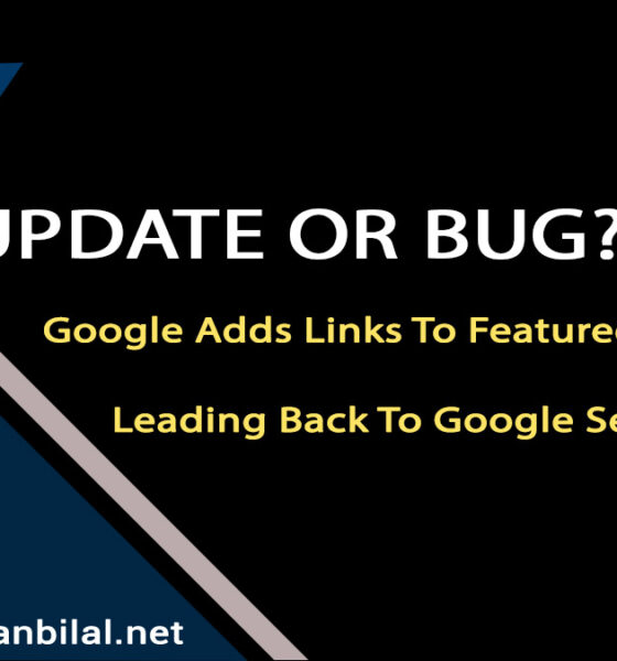 Google Bug or Update