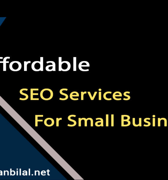 Affordable-SEO-Services-for-Small-Business